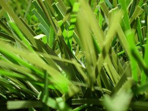 v�no�n� stromek na v�noce